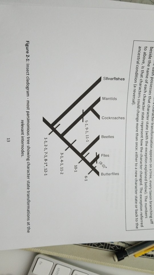 Solved Question 8 Look at the tree you