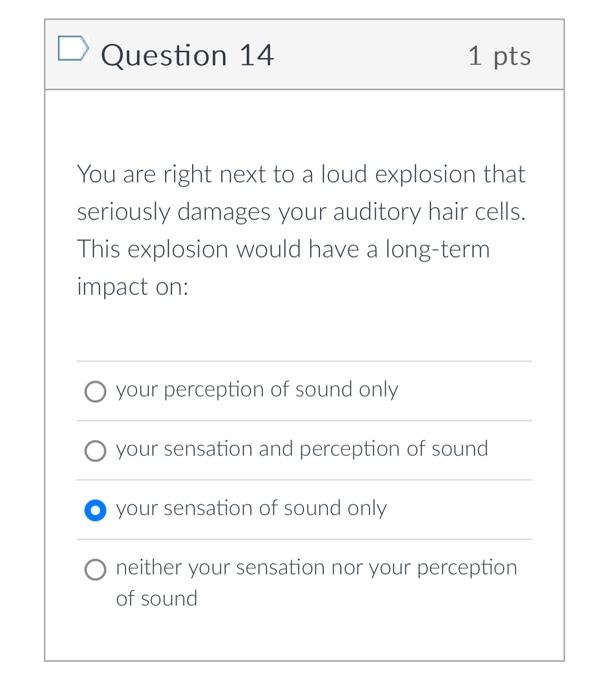 Solved Question 14 1pts You are right next to a loud | Chegg.com