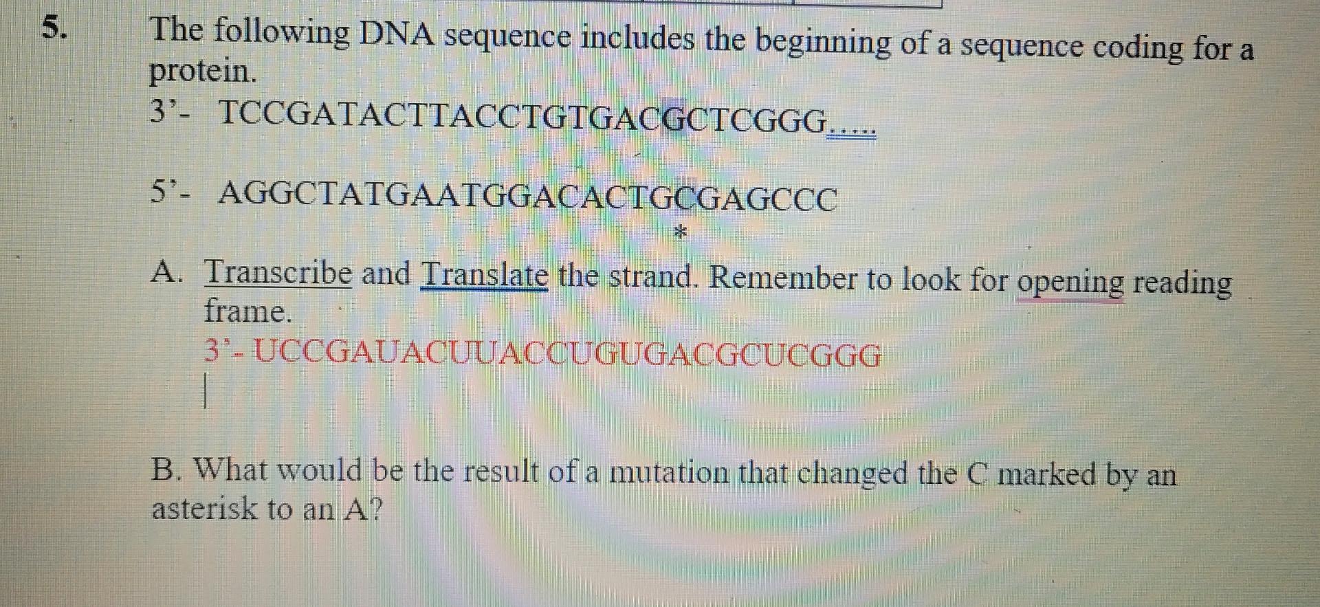 Solved The following DNA sequence includes the beginning of | Chegg.com