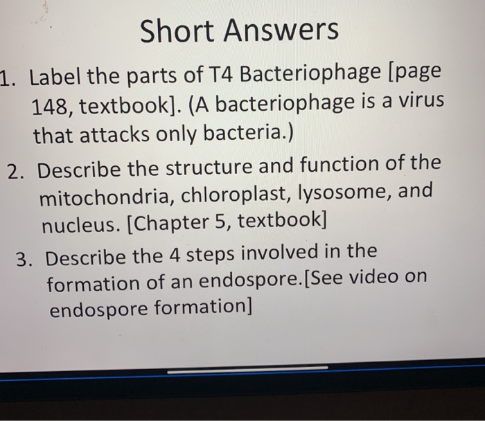 Solved Short Answers 1. Label the parts of T4 Bacteriophage | Chegg.com