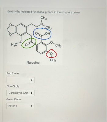 Solved Identify the indicated functional groups in the | Chegg.com