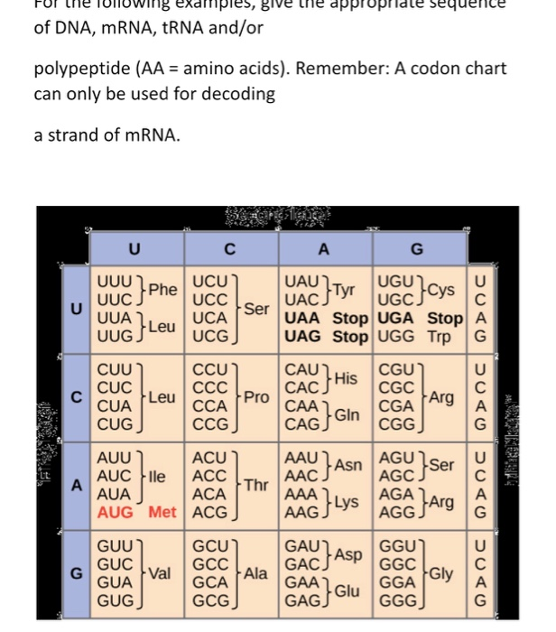 Alphagomed เครื่องวัดความดัน รับประกัน 5 ปี