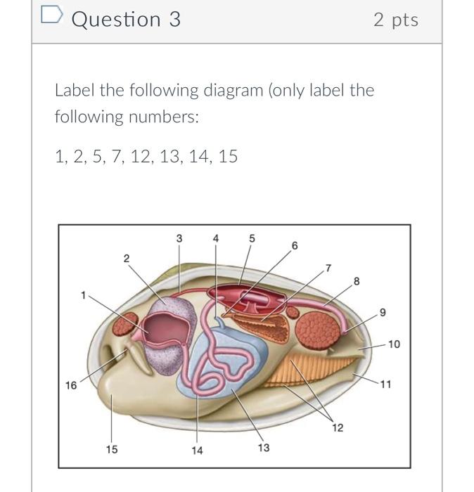 Question 3
Label the following diagram (only label the following numbers:
\( 1,2,5,7,12,13,14,15 \)