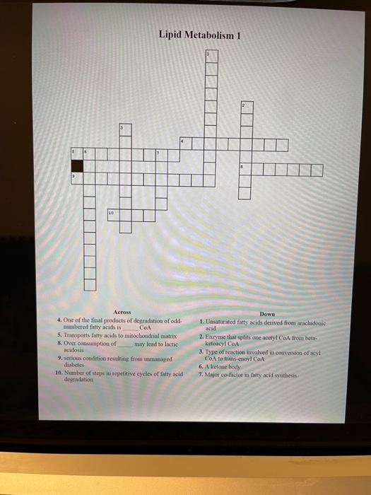 Solved Lipid Metabolism 1 Lipid Metabolism 1 | Chegg.com