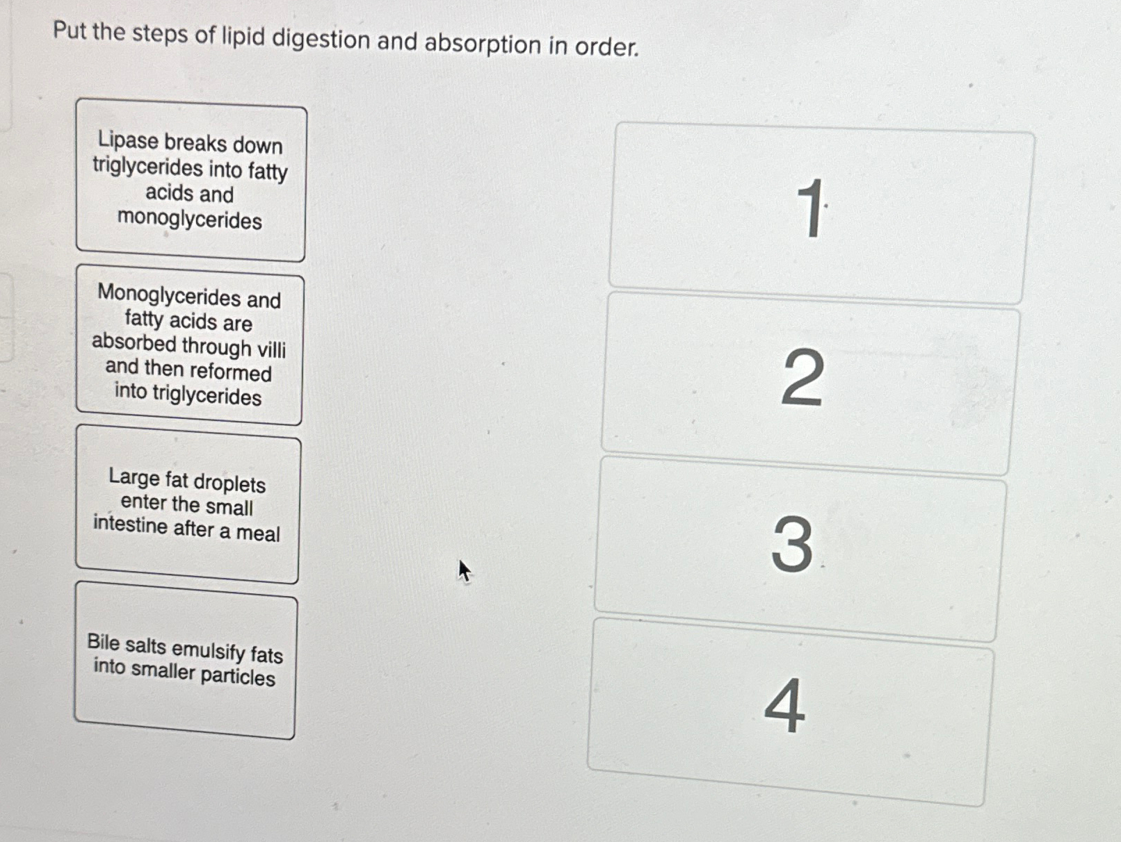 Solved Put the steps of lipid digestion and absorption in | Chegg.com