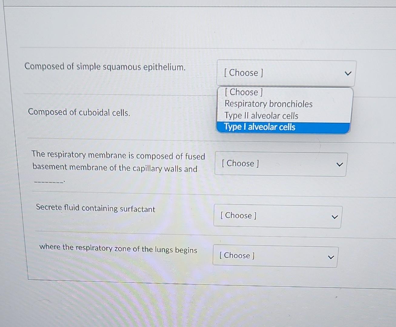 Composed of simple squamous epithelium.
Composed of cuboidal cells.
The respiratory membrane is composed of fused basement me