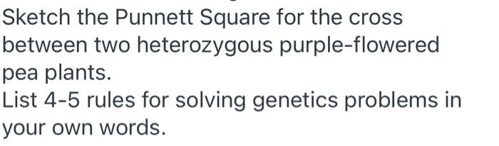 Solved Sketch the Punnett Square for the cross between two | Chegg.com