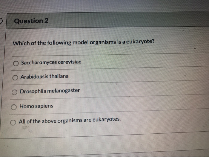 Solved Question 1 One difference between eukaryotes and | Chegg.com