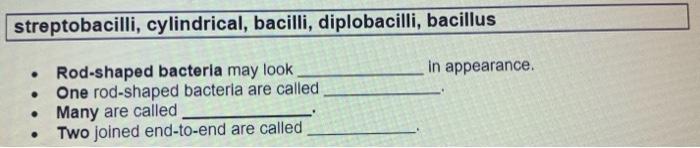 streptobacilli, cylindrical, bacilli, diplobacilli, bacillus
- Rod-shaped bacteria may look in appearance.
- One rod-shaped b