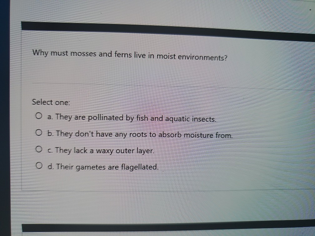 Solved Why must mosses and ferns live in moist environments?