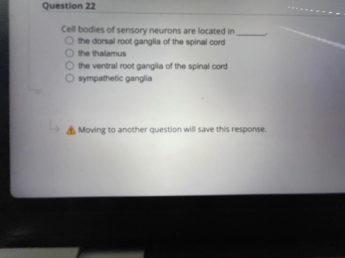 Solved Question 22 Cell bodies of sensory neurons are | Chegg.com