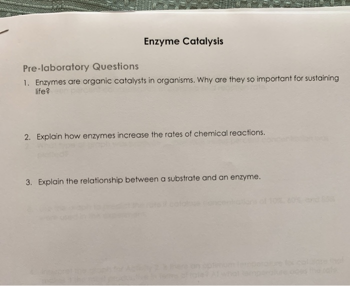 Solved Enzyme Catalysis Prelaboratory Questions 1. Enzymes