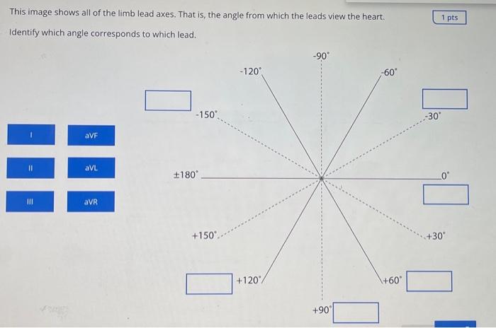 Solved This image shows all of the limb lead axes. That is, | Chegg.com