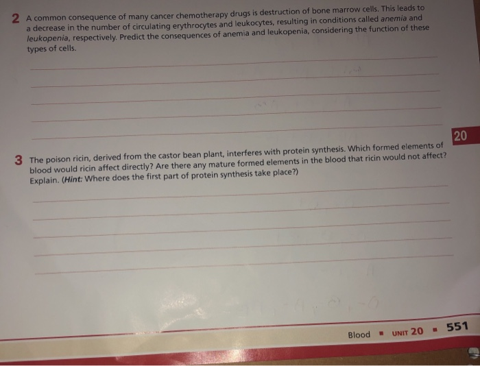 Solved PreLab Exercise 202 w the formed elements of wood