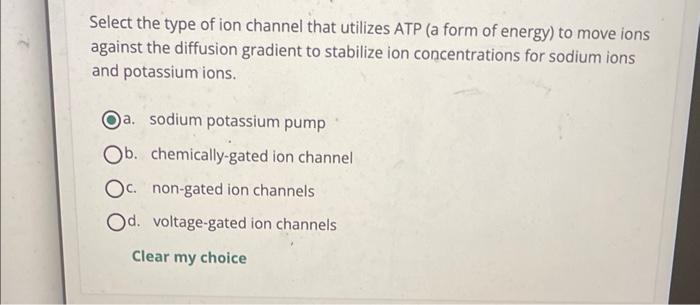 Select the type of ion channel that utilizes ATP (a form of energy) to move ions against the diffusion gradient to stabilize 