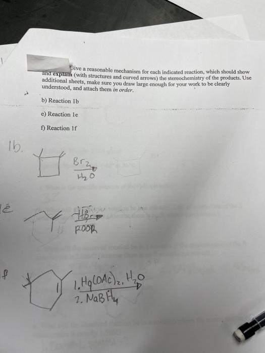 Solved I Drew Out The Structures For Each Reaction Below The | Chegg.com