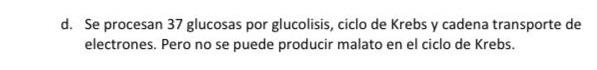 d. Se procesan 37 glucosas por glucolisis, ciclo de Krebs y cadena transporte de electrones. Pero no se puede producir malato