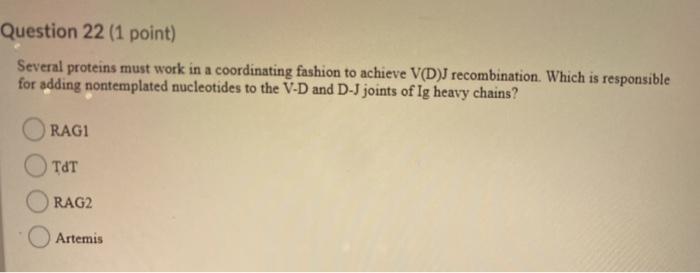 Question 22 (1 point) Several proteins must work in a coordinating fashion to achieve V(DJ recombination. Which is responsibl