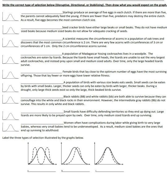 Stabilizing selection homework image