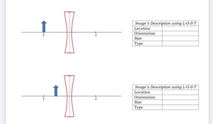 Solved Image's Description using L-O-S-T Location | Chegg.com