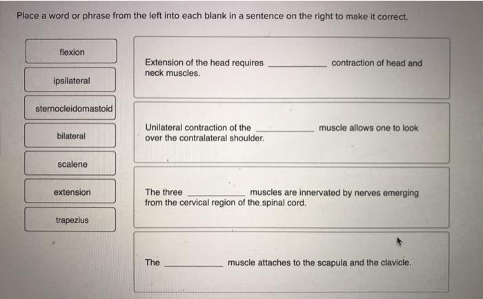 solved-place-a-word-or-phrase-from-the-left-into-each-blank-chegg