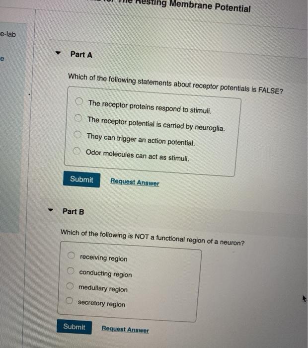 Which Of The Following Statements About Receptor Potentials Is False 34+ Pages Summary [3.4mb] - Updated 2021 