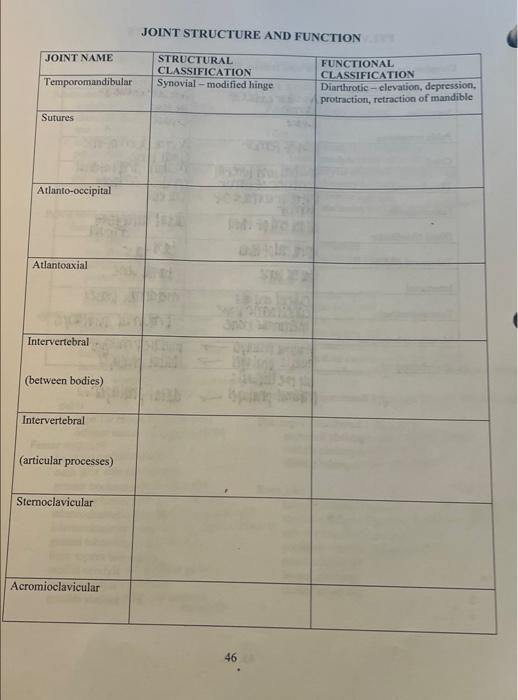 Solved Joint Structure And Function Joint Name Structural Chegg