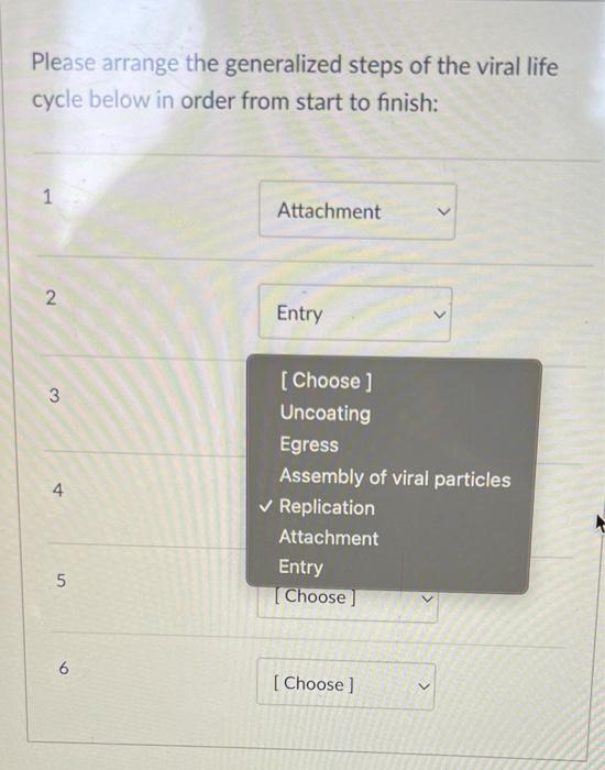 Solved Please arrange the generalized steps of the viral | Chegg.com