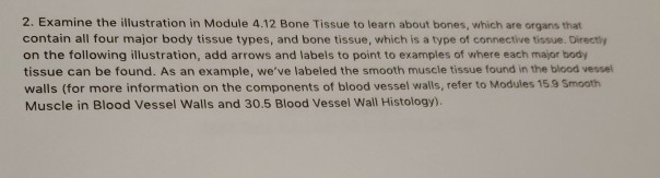 Solved 2. Examine the illustration in Module 4.12 Bone | Chegg.com