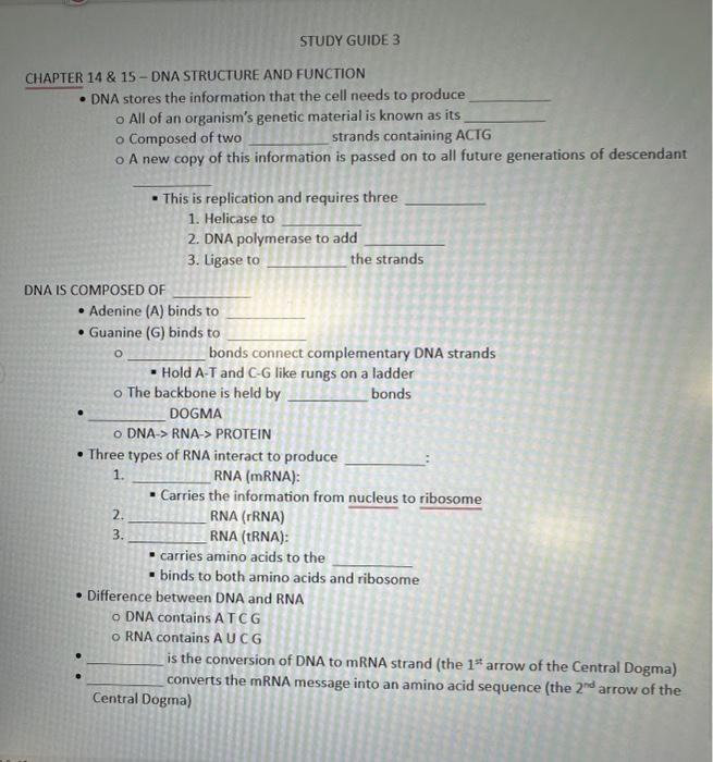 Solved STUDY GUIDE 3 CHAPTER 14&15 - DNA STRUCTURE. AND | Chegg.com