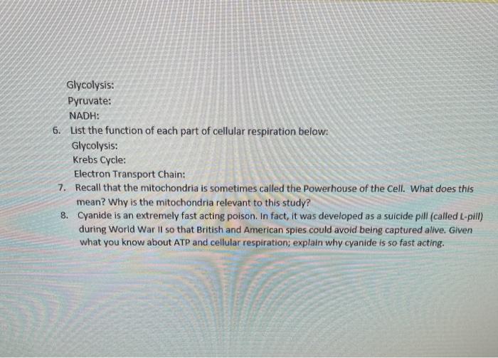 Glycolysis: Pyruvate: NADH: 6. List the function of each part of cellular respiration below: Glycolysis: Krebs Cycle: Electro