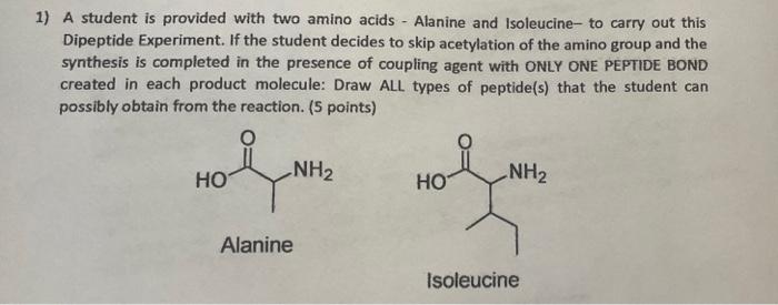 dipeptide molecule sketch