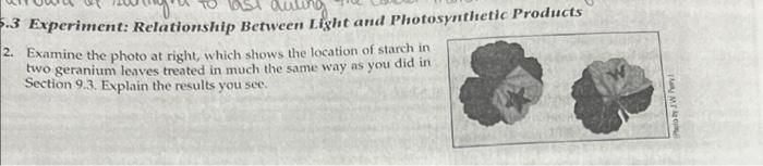 Solved Experiment: Relationship Between Light and | Chegg.com