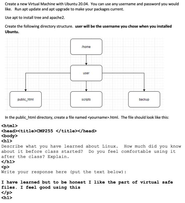 Solved Create a new Virtual Machine with Ubuntu 20.04. You | Chegg.com