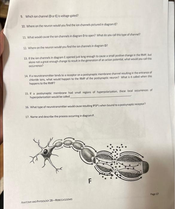 Solved Q Use diagrams D and E to answer the questions 9.16 | Chegg.com