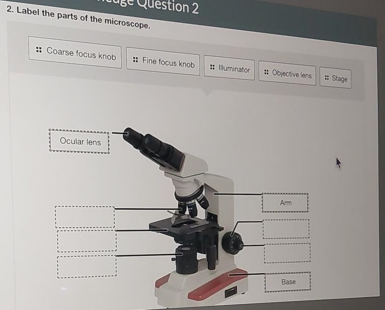 Solved Label the parts of the microscope. | Chegg.com