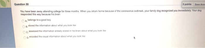 Solved Question 30 3 points Save Anse You have been away | Chegg.com
