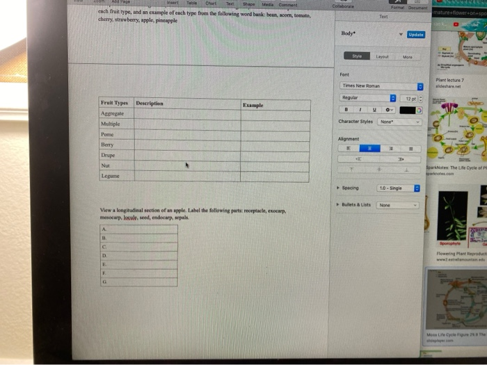 lab module 4 question - lab module 4 question set... Solved i need the best answer for the activity 4 to prepare | Chegg.com