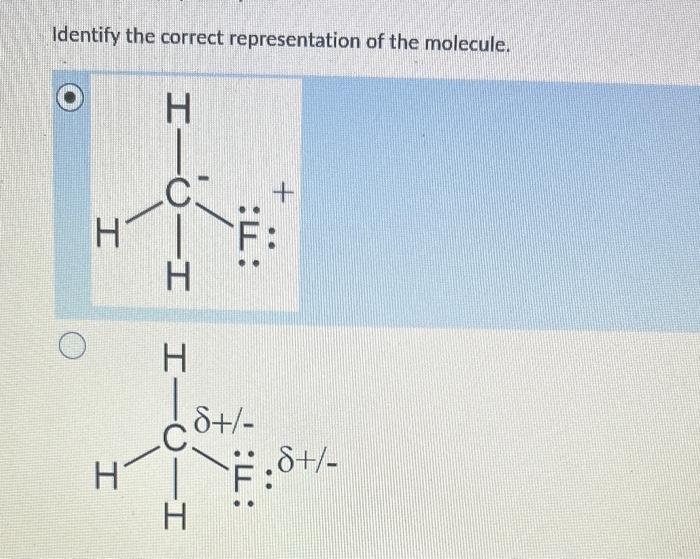 Identify the correct representation of the molecule.