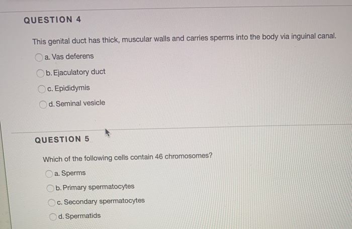 Solved: QUESTION 4 This Genital Duct Has Thick, Muscular W... | Chegg.com