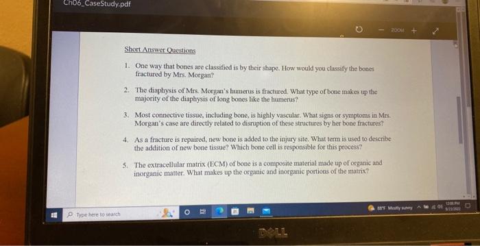 good to the bone case study answer key