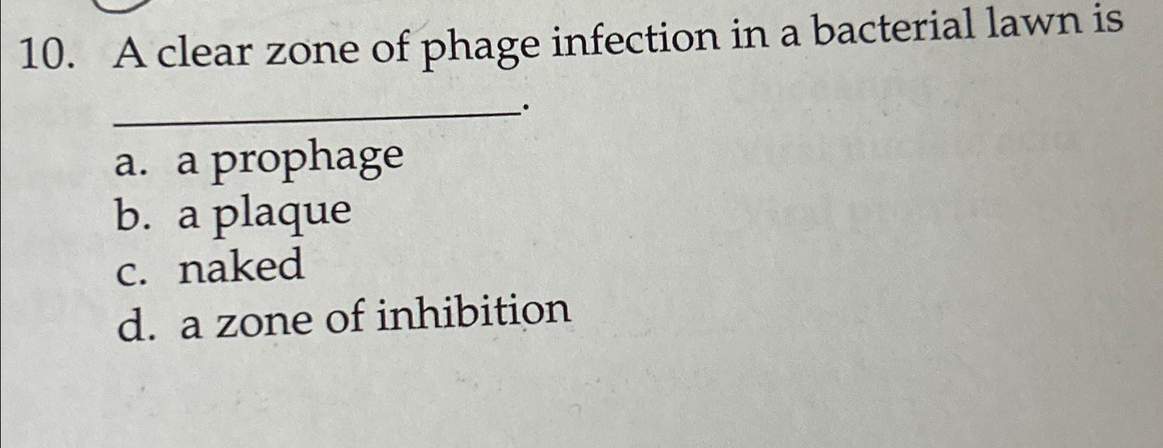 Solved A clear zone of phage infection in a bacterial lawn | Chegg.com