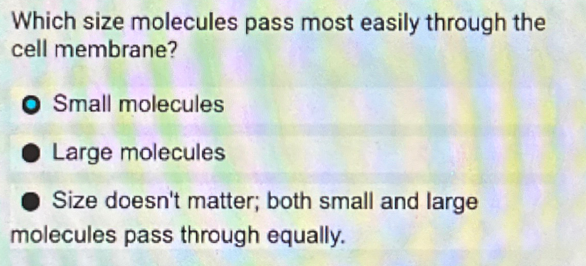 Solved Which size molecules pass most easily through the | Chegg.com