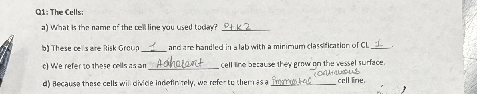 Solved Q1: The Cells:a) ﻿What is the name of the cell line | Chegg.com