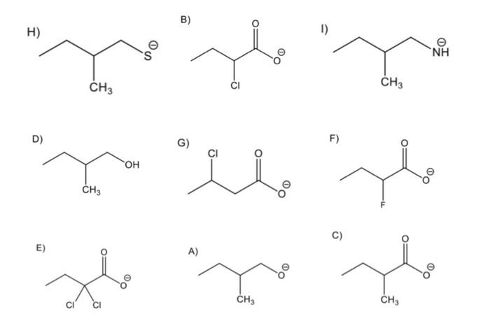 Solved based on the following bases depicted in the picture, | Chegg.com