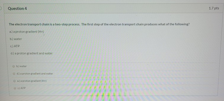 Solved Question 4 1.7 pts The electron transport chain is a | Chegg.com
