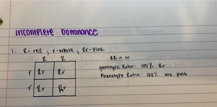 Solved incomplete dominance 1. R- red 5 R rer r-white; | Chegg.com