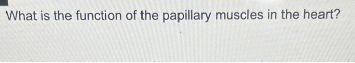 what is the function of the papillary muscles of the heart chegg