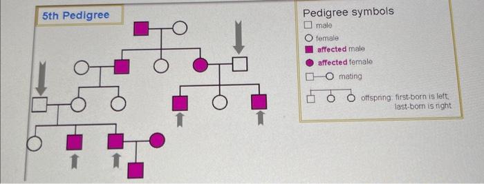 Pedigree symbols male female affected male affected | Chegg.com