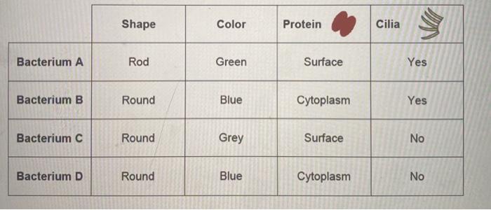 Solved Fill out the trait table and determine the phenotype | Chegg.com